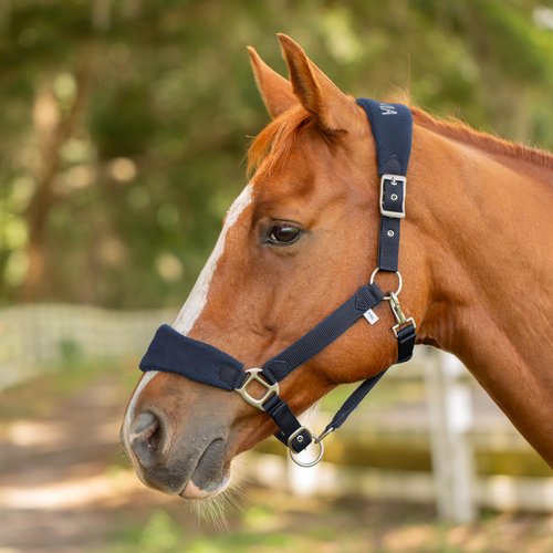 Equinavia Saga Fleece Padded Breakaway Halter - Navy - Pony