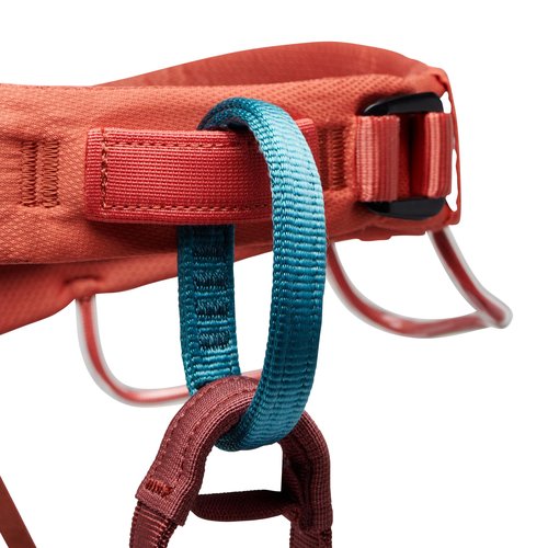 Black Diamond Womens Momentum Rock Climbing Harness, Baja Sunrise, Large