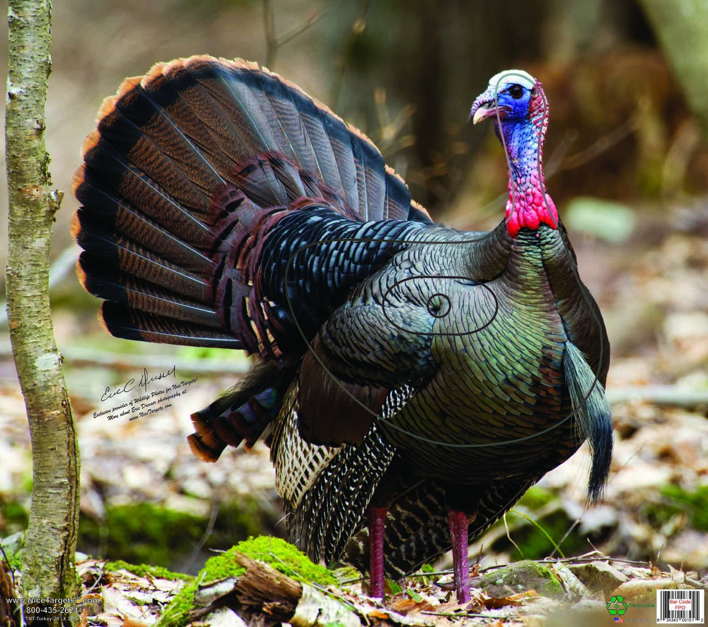 NiceTargets Turkey Archery Target, 20" x 22.5" Photorealistic Life Size Plastic Animal for Target Practice, Vanishing Vital Zones, Bow Targets for Archery Training and Hunting Practice, Made in USA