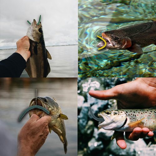 40PCS Senko-Style Stick Baits with Box - Senko Worms for Bass Fishing | 5.5" Wacky Rig Ready Lures