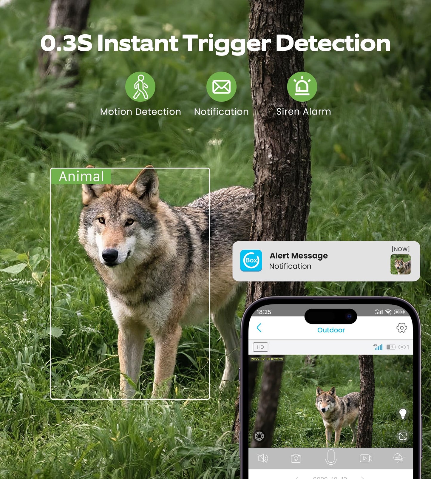 2Pack 4G LTE Cellular Trail Camera Solar: 2K Game Cameras Built-in SIM Card Hunting Cameras Wireless Battery with PTZ 360° Live View & Playback Color Night Vision Motion Activated IP66 for Wildlife