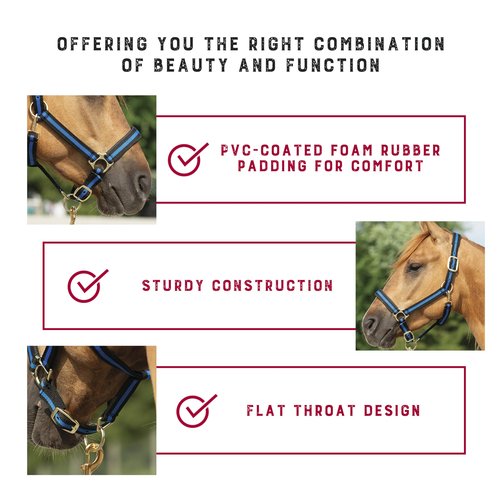 Weaver Leather Basic Adjustable Nylon Halter, Purple, 1" Average Horse