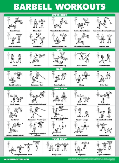 Palace Learning 4 Pack - Dumbbell Workouts + Barbell Workouts + Bodyweight Workouts + Muscle - Set of 4 Workout Charts (18” x 24”, LAMINATED)