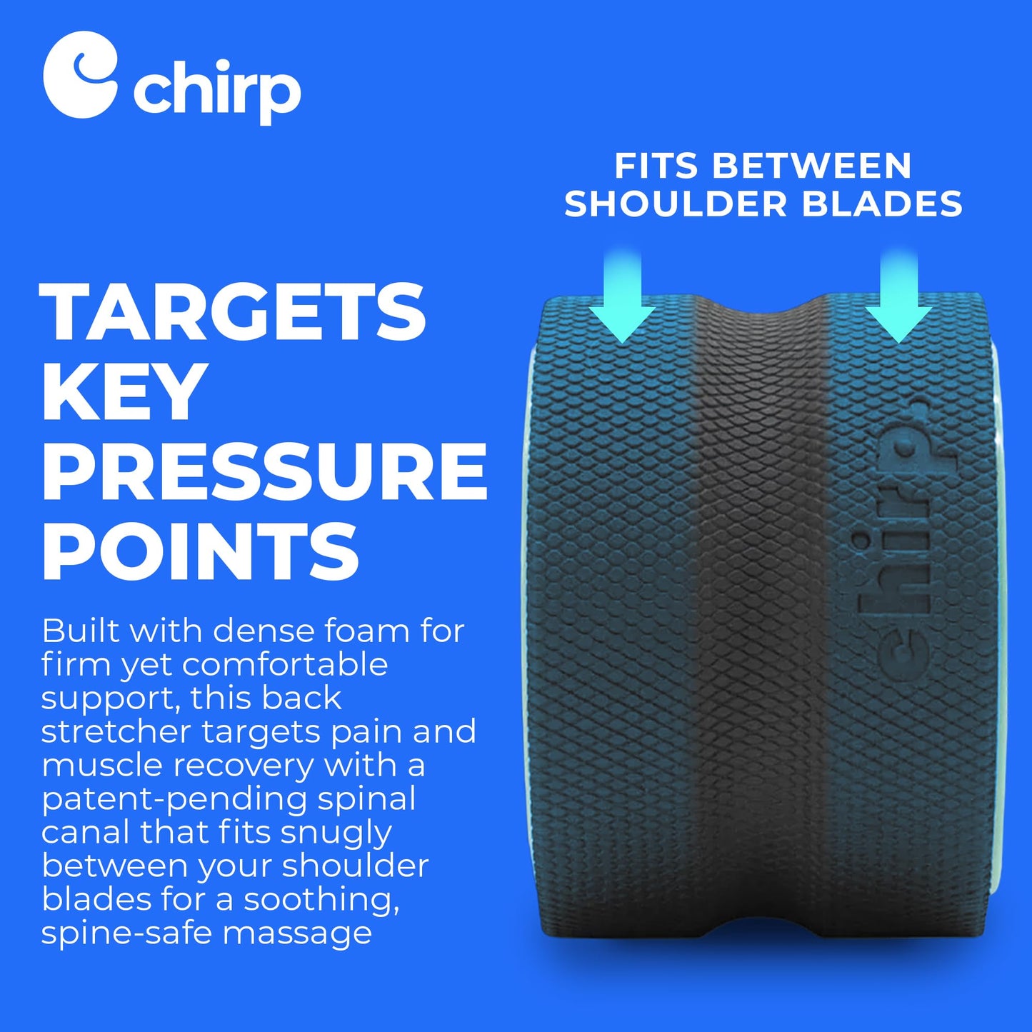 Chirp Wheel Foam Roller - Targeted Back & Neck Pain Relief, Muscle Massage, Trigger Point Therapy, High-Density Foam Tool for Physical Therapy, Stretching & Exercise, 500lbs Capacity, 6 Inch Mint