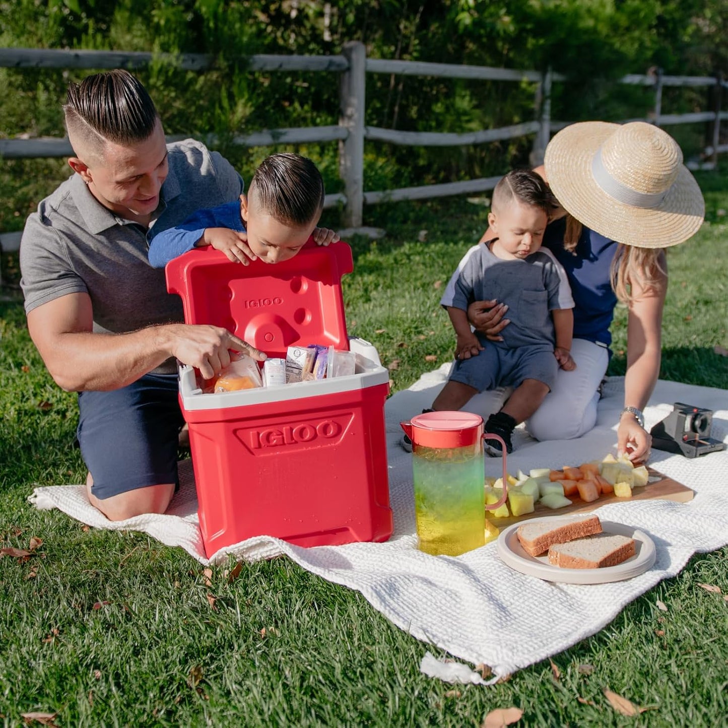 Igloo Cooler with Wheels, Profile II 28 Qt Hard Sided Ice Chest - Portable Insulated Container with Leak-Proof Design for Outdoor Use