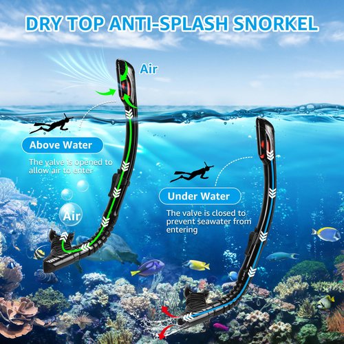 Snorkeling Gear for Adults, Snorkel Mask Adult Set Wide View Scuba Mask Anti-Leak and Anti-Fog Tempered Glass Lens Dry Top Mask Nose Cover for Youth (Black)
