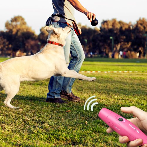 WANJOTEC Electronic Whistle for Teacher Coache, 3 Tones Adjustable 130db Loudest High Volume Handheld Emergency Electric Whistles for Referee, P.E.Outdoor Sports Whistles with Lanyard (Pink)