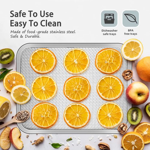 Septree Compact Food Dehydrator, 4 Stainless Steel Trays Fresh Dryer Machine for Jerky Herbs Fruit Veggies Snacks, with Digital Timer | 190F Temperature Control, Great Size for Small Family