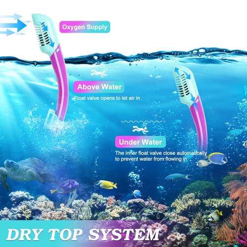 Kids Mask Fins Snorkel Set, Dry Top Snorkeling Gear for Kids Youth Boys Girls Junior Age 5-15