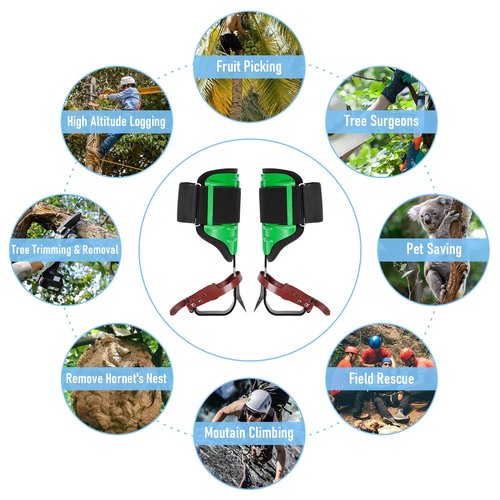 bimti Arborist Climbing Spikes,Height Adjustable Tree Climbing Gear for Tree Work with Removable Padding and Safe Belt for Fruit Picking, Hunting