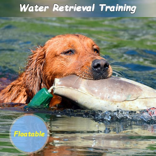 fingig 2 Pcs Duck Dummy Bumper Toys for Hunting Retriever Dog Training, Dog Retriever Outdoor Training Toy ，Hunting Duck Recognition Trainers, Foam Pet Interactive Toys