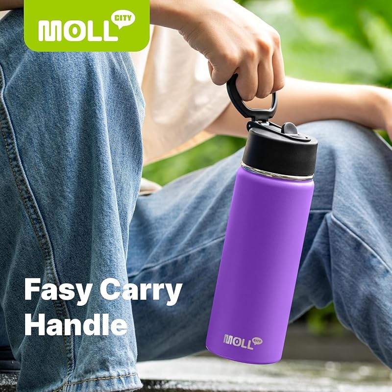 Water Bottle with Straw - 12 Oz Black, BPA Free, 18/8 Stainless Steel, Mollcity
