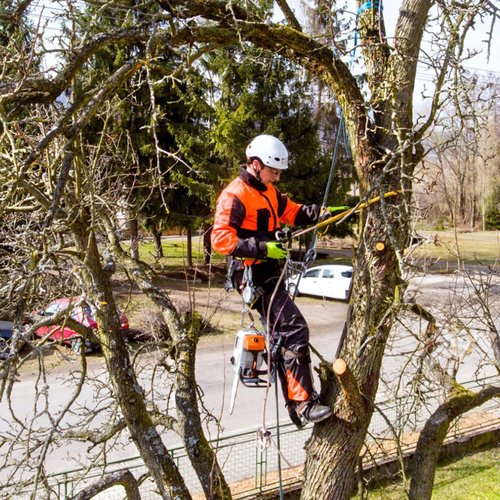 Gdsinstna Tree Climbing Spikes Set,Tree Climbing Gear, Tree Climbing Equipment for Climbers, Fruit Picking