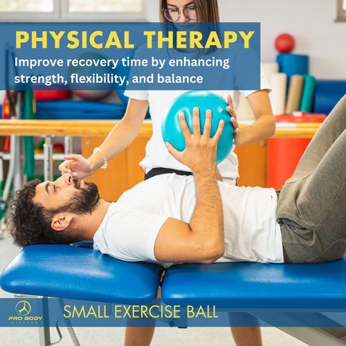 ProBody Pilates Small Exercise Ball with Pump - 9 Inch Workout Ball for Stability, Barre, Yoga, Core & Physical Therapy, Home Gym & Office Use (Blue)