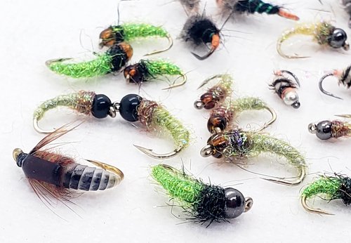 Caddis Nymph/Caddis Larva Selection, Bead Head Caddis Nymph, Caddis Fly