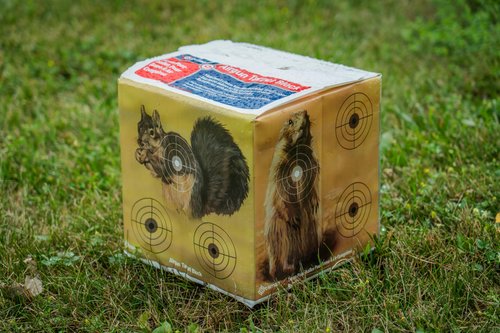 Crosman CAVTB High Density Foam Varmint Target Block For Pellets And BBs
