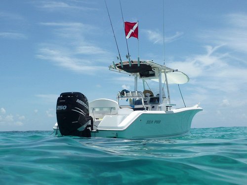 Cool Water Products The Original Rod Holder Boat Flag Pole - No Flag (4 Foot)