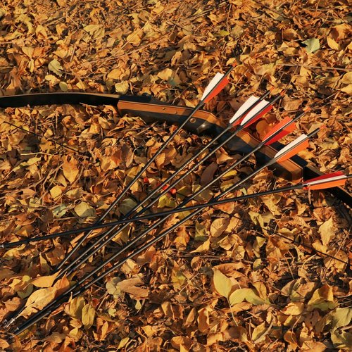 LWANO 30" Carbon Arrows-Archery Target Practice Hunting Arrows with 4" Turkey Feather Spine 500 for Recurve & Long Bow(Pack of 12)