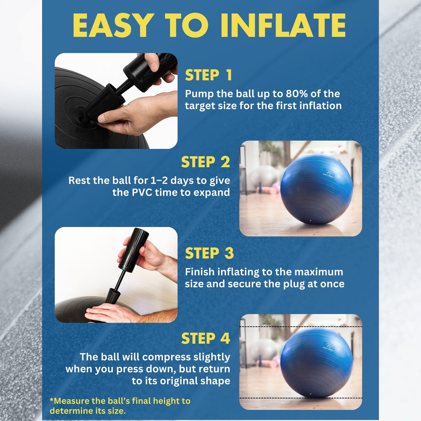 ProBody Pilates Exercise Ball - Multiple Sizes Gym Grade Balance Ball for Fitness, Workout, Pregnancy & Physical Therapy, Stability Yoga Ball Chair (Silver, 55cm)