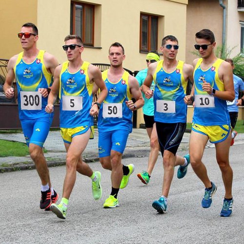 Azarxis Running Bib Competitor Numbers with Safety Pins, Tyvek Tearproof Waterproof 4" x 7" for Marathon Races Events (1-50)