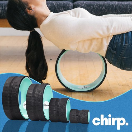 Chirp Wheel Foam Roller - Targeted Back & Neck Pain Relief, Muscle Massage, Trigger Point Therapy, High-Density Foam Tool for Physical Therapy, Stretching & Exercise, 500lbs Capacity, 4-Pack Mint