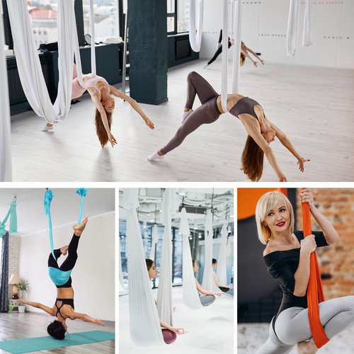 ZYOSJK 5.5 Yards Aerial Silk Swing Outdoor Hammock Aerial Yoga Swing For Adults,Aerial Yoga Hammocks for outside,Aerial Silks For Gymnastics (Light Purple)