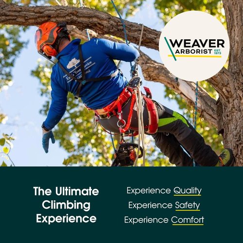 Weaver Arborist Throw Weight, 16 oz Nylon Throw Bag for Tree Work, Climbing Rope Weight Bag, Resistant to Tear, Handcrafted Arborist Equipment, Blaze Orange