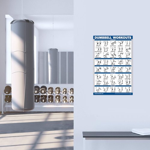 Palace Learning 4 Pack - Dumbbell Workouts + Bodyweight Workouts + Stretching Exercises + Dumbbell Vol 2 - Set of 4 Workout Charts (18??x 24?? LAMINATED)