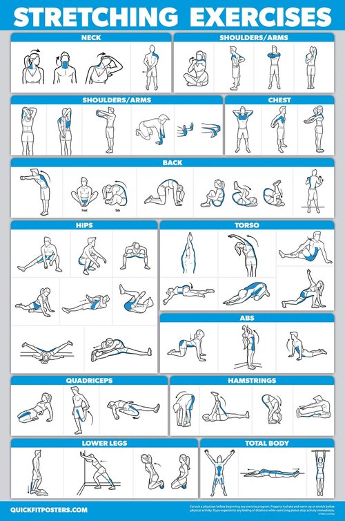 QuickFit 2 Pack - Stretching Exercises and Sliding Bench Workout Poster Set - Compatible with Total Gym & Weider Ultimate Body Works (LAMINATED, 18" x 24")