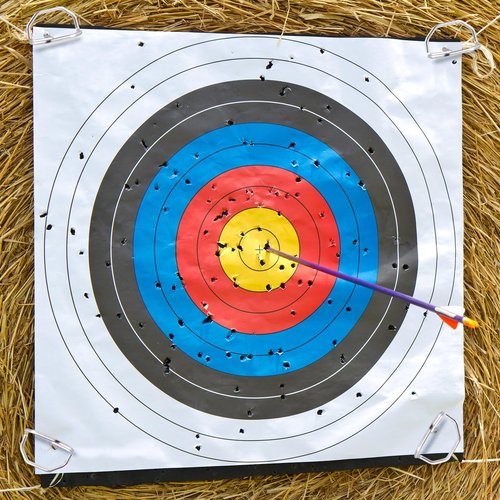 Shimeyao 24 Pack 6" Archery Target Pins with Loop Handle Heavy Duty Stainless Steel for Thickened Bow Foam Straw Archery Targets for Backyard, Garden Landscape Staples, Range Hunting Practice