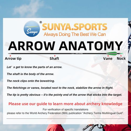 SUNYA 12-Pack 30 Inch Carbon Arrows Spine 500 or 400 for 40-60 LBS Bows｜Switch to Recurve/Compound Modes, Anti-Loose O-Ring & TPU Vanes for Hunting/Target Practice