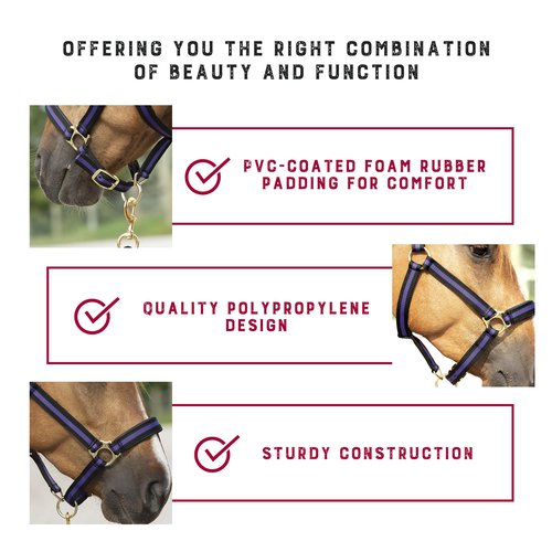 Weaver Leather Padded Breakaway Adjustable Chin & Throat Snap Halter, 1" Average Horse or Yearling Draft