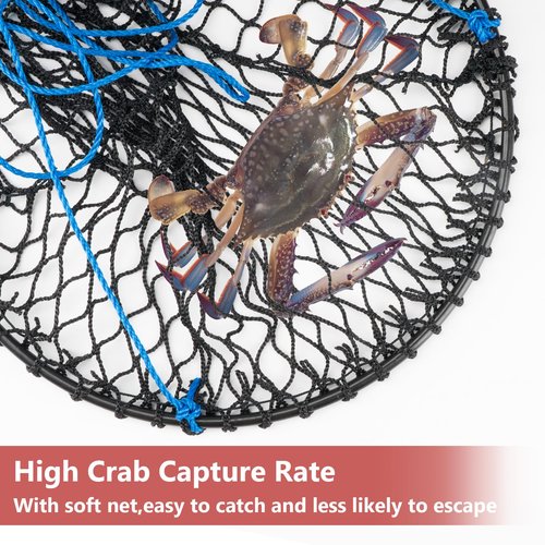 QualyQualy Foldable Crab Trap 2-Pack, Small Crab Net with Buoy & Bait Clip for Blue Crabs, Dungeness, Crawfish Traps | Compact Crabbing Equipment for Kids Family Use for Pier, Dock, Lakes