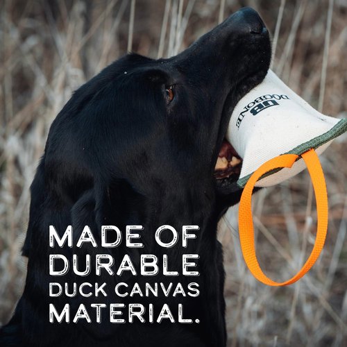 DogBone Duck Canvas Training Dummy for Hunting Dogs | Dog Bumper | Hunting Dog Toys | Hunting Dog Accessories | Hunting Dog Training Toys | Dog Training Dummy for Dogs (Large)