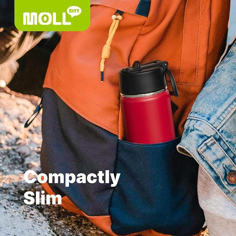 Water Bottle with Straw - 12 Oz Black, BPA Free, 18/8 Stainless Steel, Mollcity