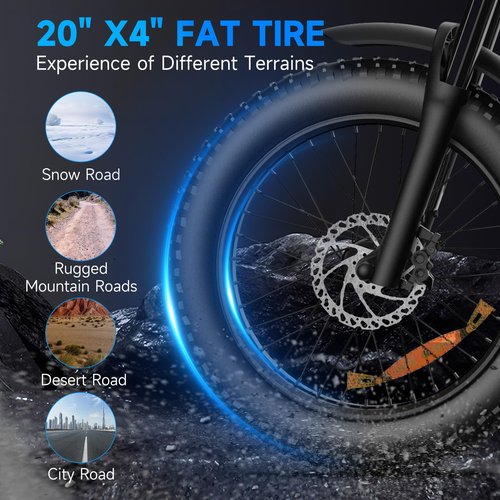Retro Electric Bike for Adults,1000W-1600W(Peak Power) Electric Dirt Bike,35MPH 60Miles E Bikes Ridstar, 20" Fat Tire Adult Electric Bicycle with 48V 18.9AH Battery, 7 Speed E Bike