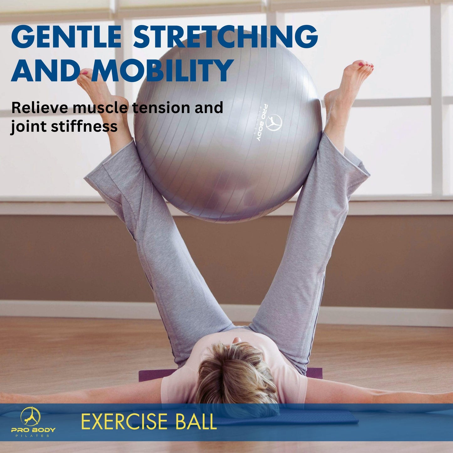 ProBody Pilates Exercise Ball - Multiple Sizes Gym Grade Balance Ball for Fitness, Workout, Pregnancy & Physical Therapy, Stability Yoga Ball Chair (Silver, 55cm)