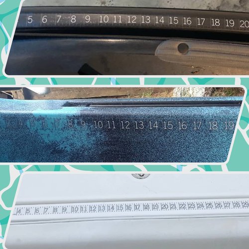 36" Fish Measuring Ruler Sticker | Waterproof Transparent Decal Tape | Made in USA | Bold and Easy Read Markings | Boat, Kayak, Net, Cooler Compatible | UV-Resistant Adhesive | Easy Application