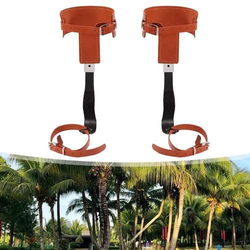 AKSDSGA Tree Climbing Gear, Cowhide Leather Tree Climbing Spikes Set Height-Adjustable Tree Climbing Spurs, Safety Belt Gloves for Tree Work, Tree Trimming, Tree Cutting, Logging Hunting Picking Fruit