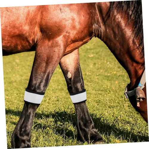 PERSELOSO 4pcs Led Glowing Horse Leg Bands High Visibility Reflective Straps for Night Enhanced Illumination for Riding and Horse Gear