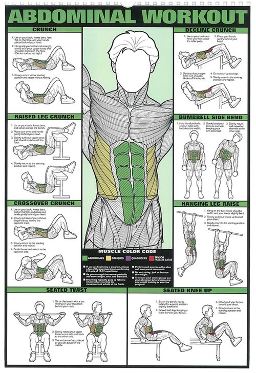 6PCS workout chart posters for a home gym， oil on canvas gym decor fitness dumbbell exercise motivational posters for home gym Exercise Charts Incl Triceps, Shoulder,Leg, Back,Chest, Abdominal workout