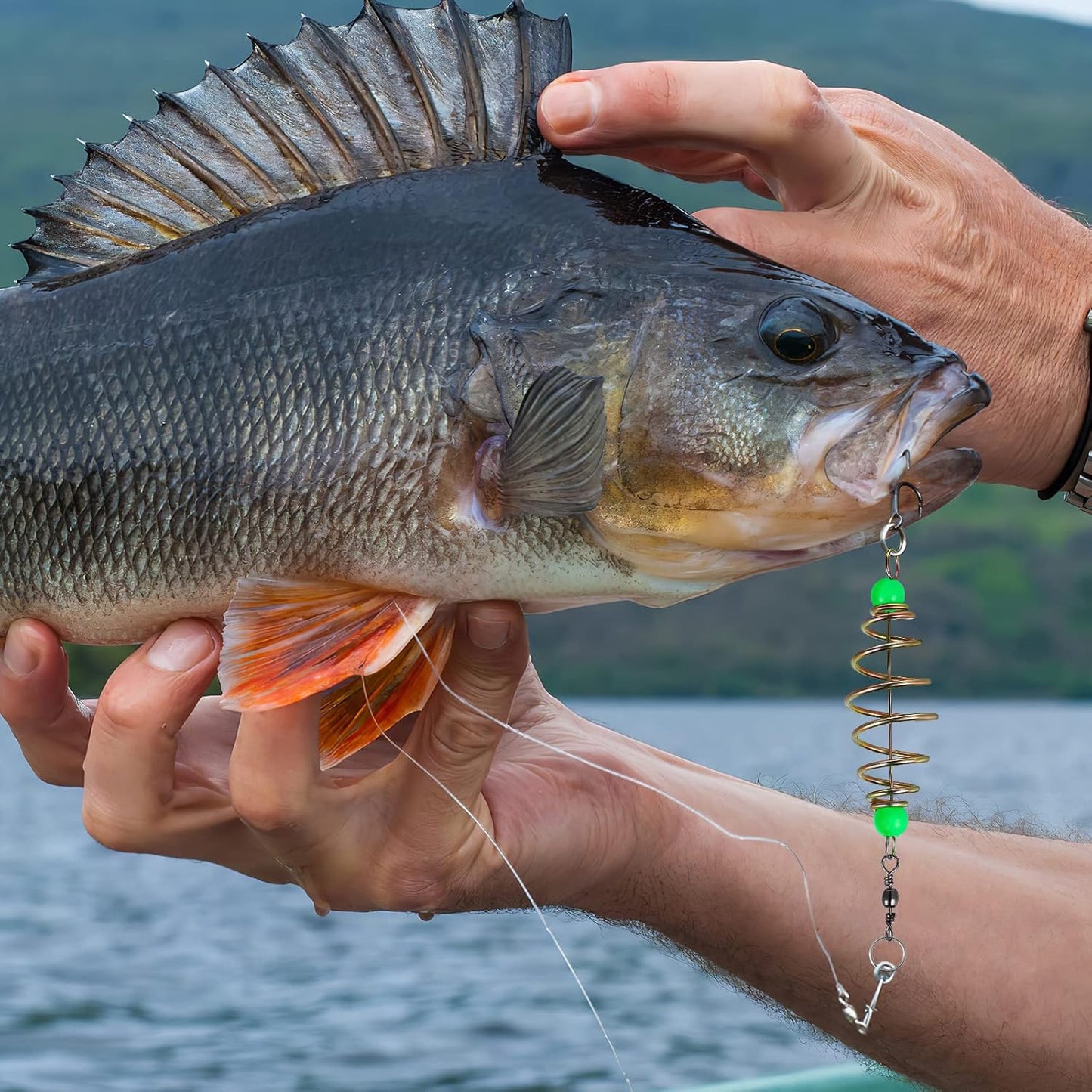 12PCS Luminous Carp Fishing Feeder, Bait Thrower, Fishing Feeder Bait Cage, Lures Cage Basket Minnow Baits
