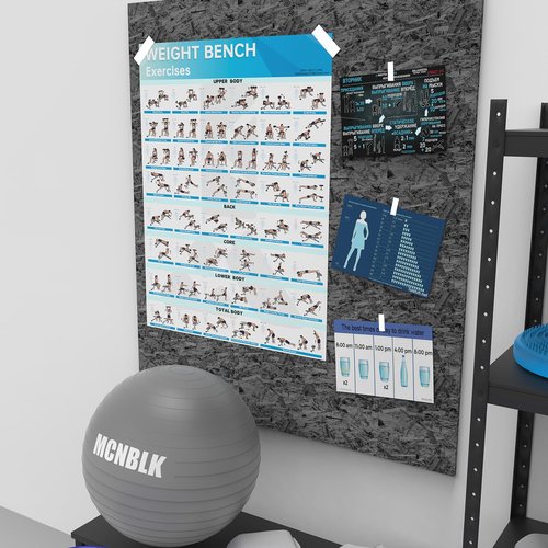 MCNBLK Fitness Bench Poster - Adjustable Benches Body Building Guide-LAMINATED, 17" x 27"