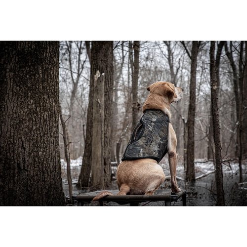 Momarsh Final Stand Dog Adjustable Training Platform | Hunting Stand | Elevated Pet System for Place, Agility & Steadiness | Waterfowl Duck Trainer System | Mesh Bottom, Mud Feet | 150 lb Capacity