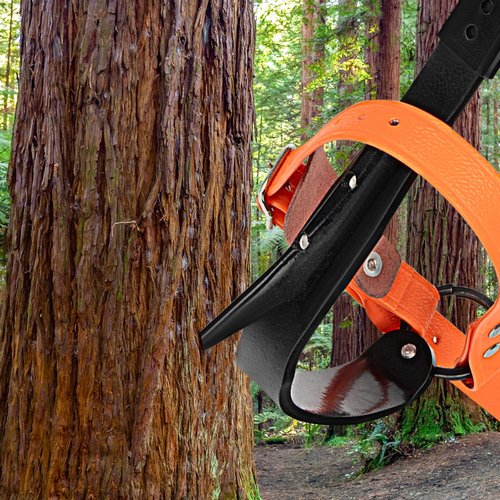 Xeoca Tree Climbing Spikes Set Tree Climbing Gear 1 Pair Alloy Steel Climbing Spurs 350lbs Load Capacity Arborist Equipment for Climbers, Fruit Picking and Lumberjack