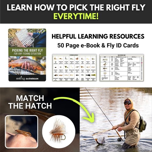 Ventures Fly Co. | 122 Premium Hand Tied Fly Fishing Flies Assortment | Two Fly Boxes Included | Dry, Wet, Nymphs, Streamers, Wooly Buggers, Terrestrials | Trout, Bass Lure Set, Kit, Gift