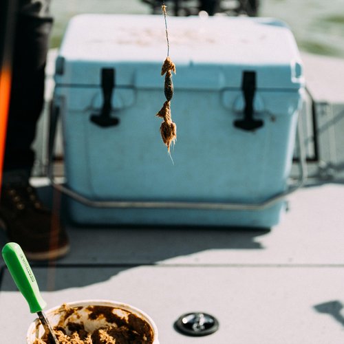 Mr. Whiskers Punch Bait - Cheese - 1 Pint