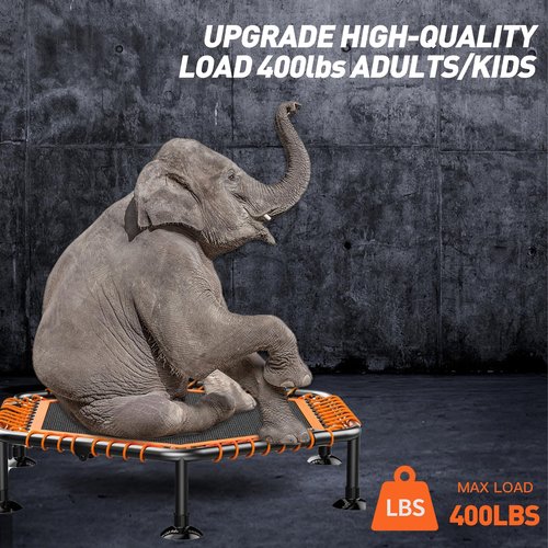 Cloris 50in for Adults Max Load 450lbs with 5 Hights Adjustable Foam Handle