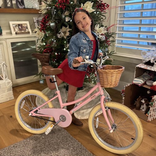 Petimini 12 Inch Kids Bike for Age 2 3 4 Years Old Little Girls Toddlers Retro Vintage Style Bicycles with Basket Training Wheels and Bell, Pink