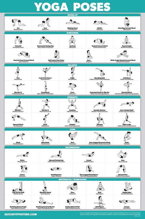 Palace Learning 2 Pack: Yoga Poses Laminated Poster + Dumbbell Exercise Playing Cards